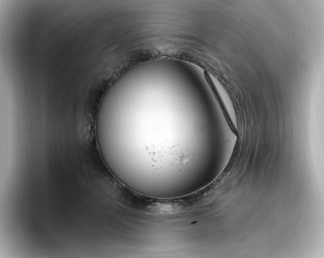 X0000096970464200802221407