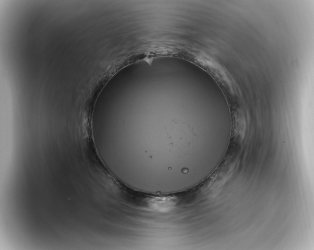 X0000096970465200802221407