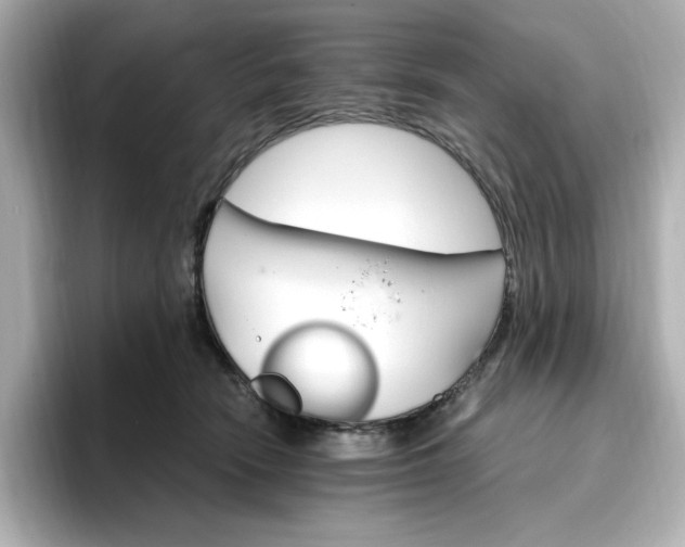 X0000096970466200802221407