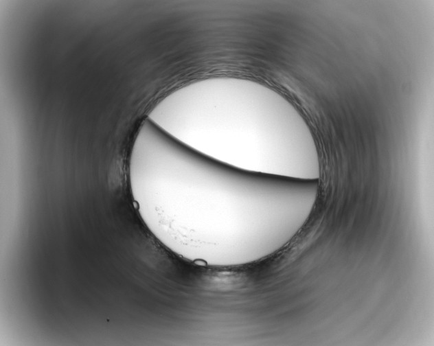 X0000096970467200802221407