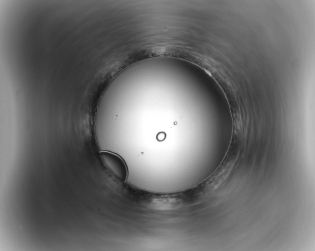 X0000096970470200802221407