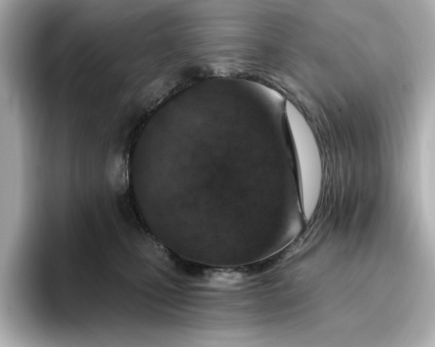 X0000096970471200802221407