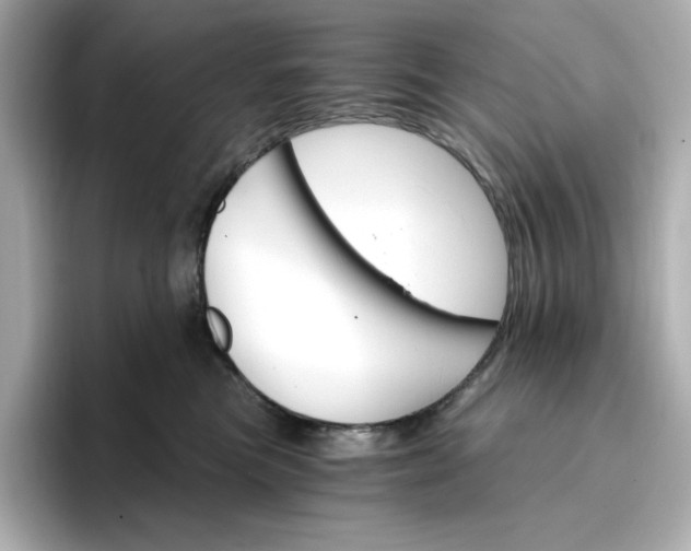 X0000096970473200802221407