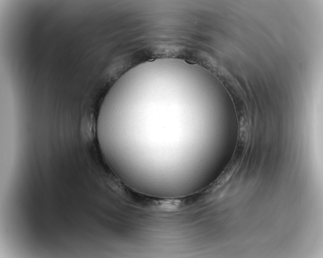 X0000096970474200802221407