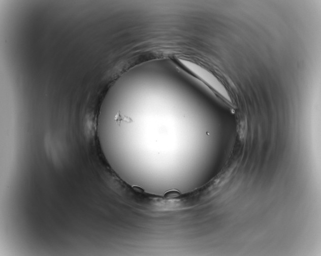 X0000096970476200802221407