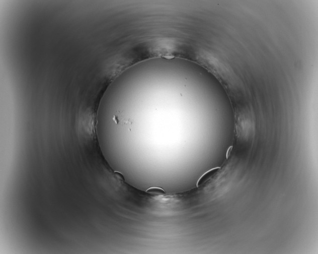 X0000096970477200802221407