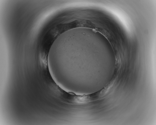 X0000096970479200802221407