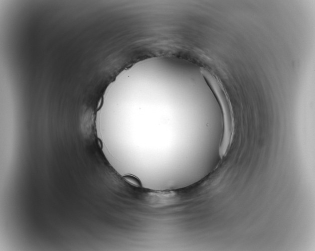 X0000096970480200802221407