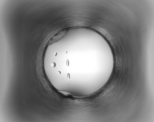 X0000096970481200802221406