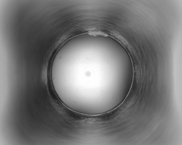 X0000096970482200802221406