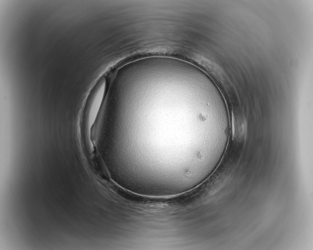 X0000096970483200802221406