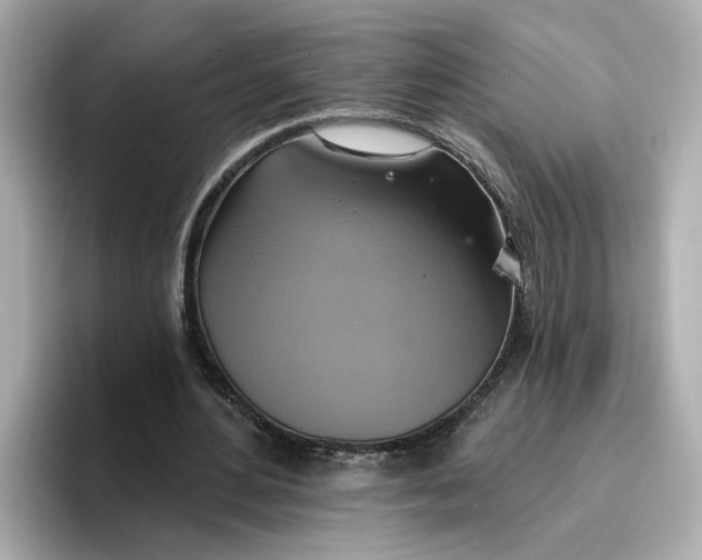 X0000096970484200802221406