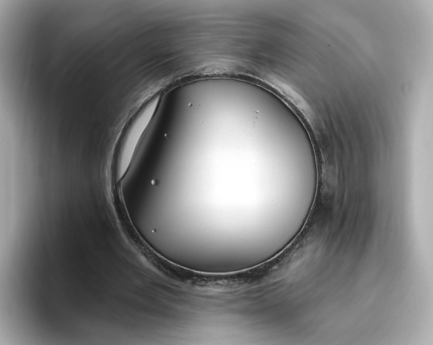 X0000096970485200802221406