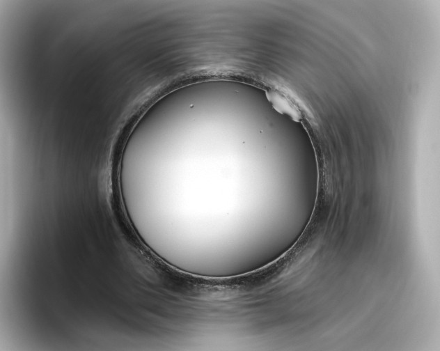 X0000096970486200802221406