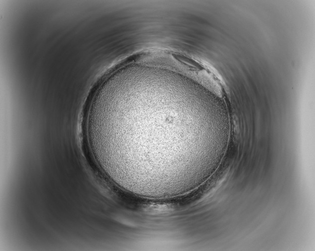 X0000096970487200802221406