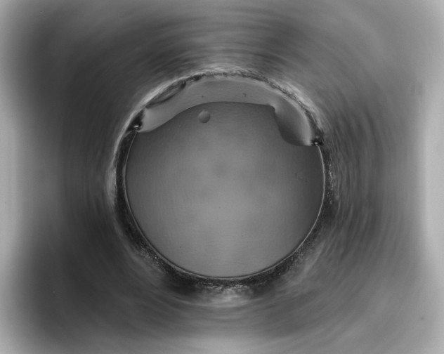 X0000096970488200802221406