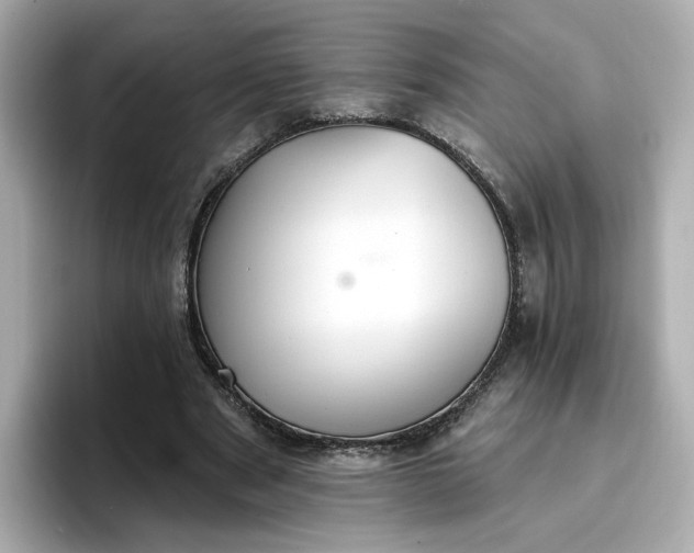 X0000096970489200802221406