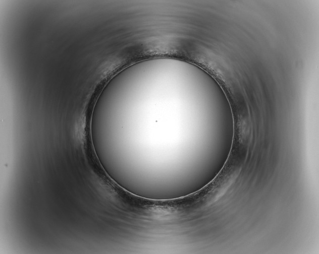 X0000096970490200802221406