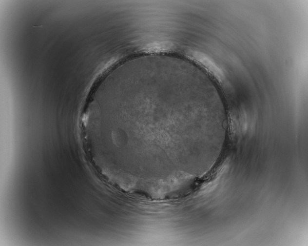 X0000096970491200802221406