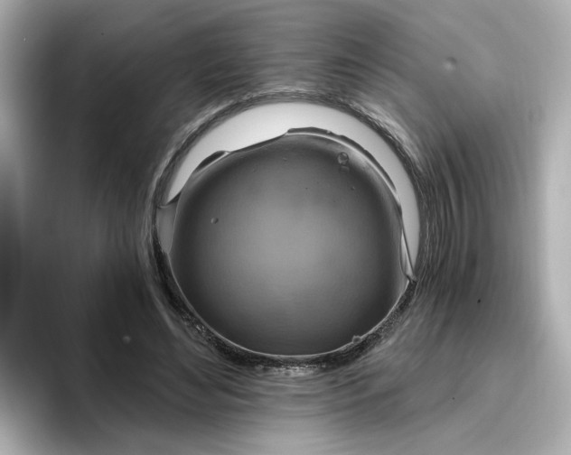 X0000096970492200802221406