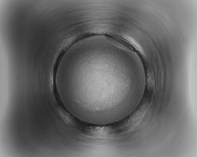 X0000096970493200802221406