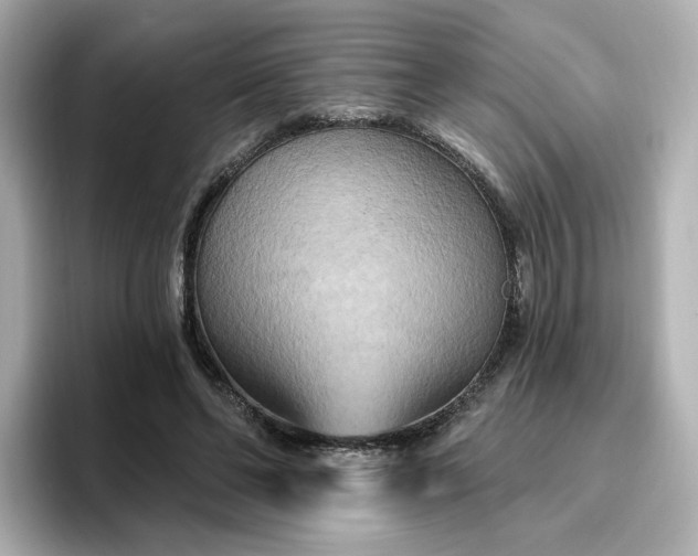 X0000096970494200802221406