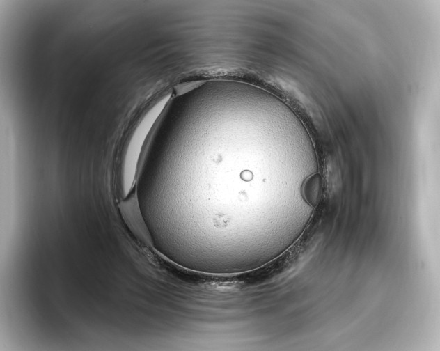 X0000096970495200802221406