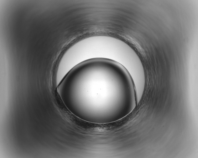 X0000096970496200802221406