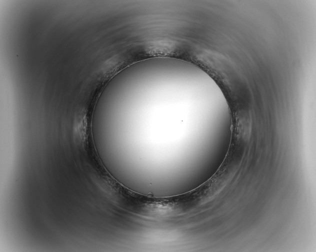 X0000096970498200802221406