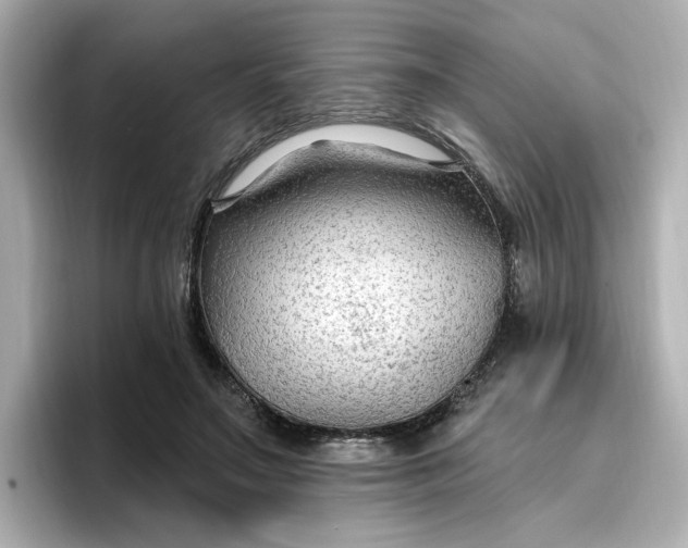 X0000096970499200802221406