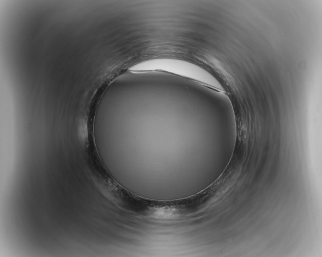 X0000096970500200802221406