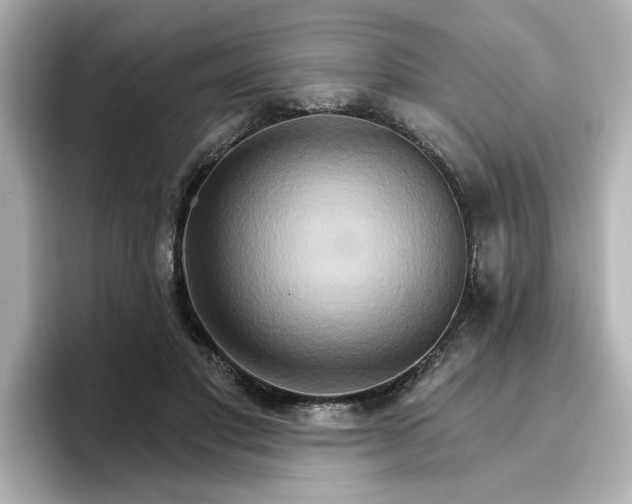 X0000096970501200802221406