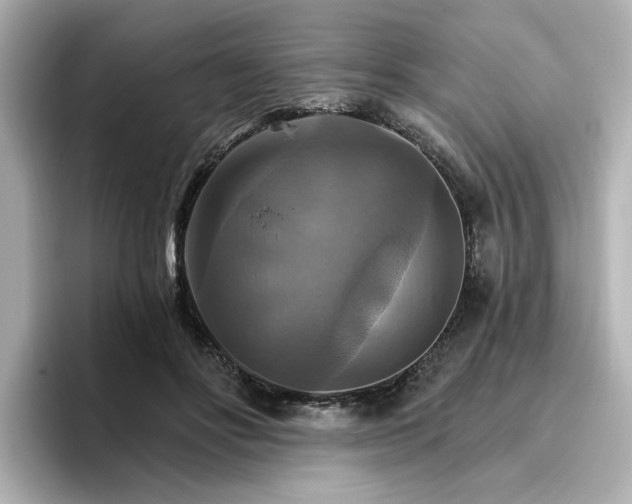 X0000096970502200802221406