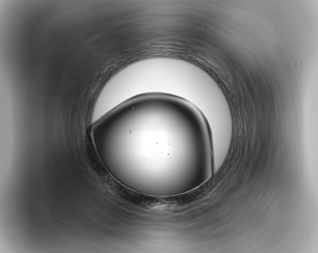 X0000096970504200802221406