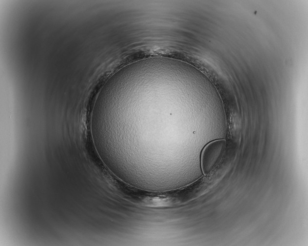 X0000096970506200802221406