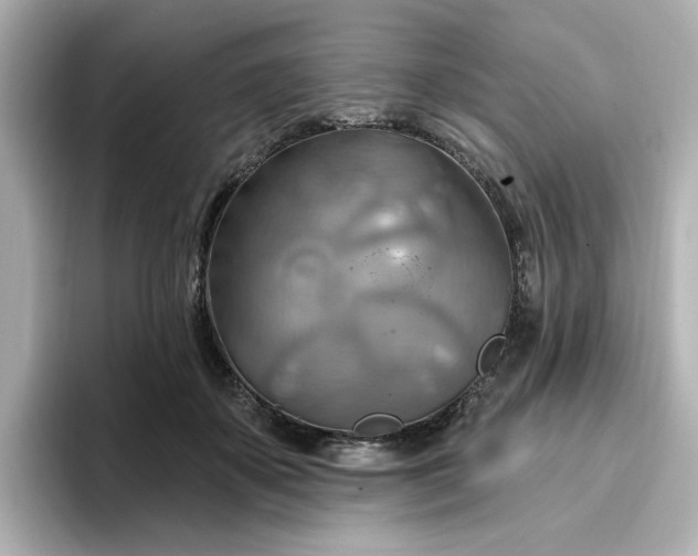 X0000096970507200802221406