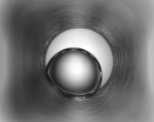 X0000096970508200802221406