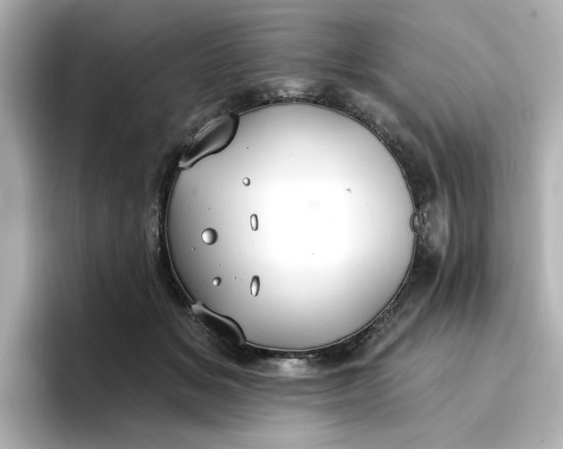 X0000096970509200802221406