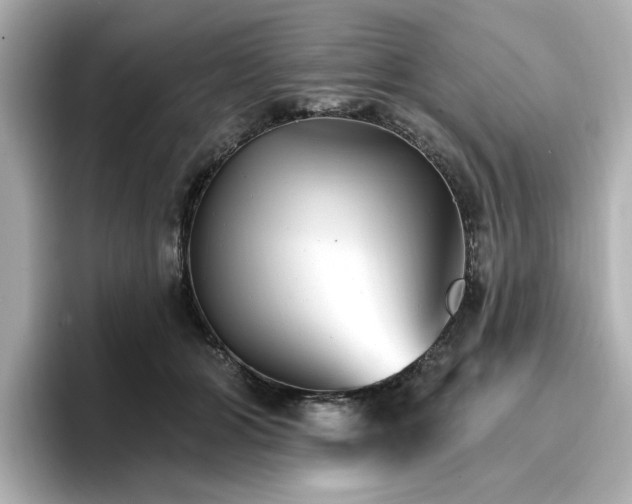 X0000096970510200802221406