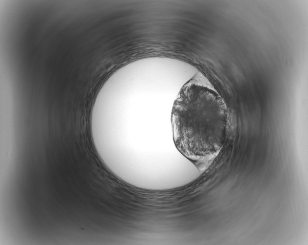 X0000096970511200802221406