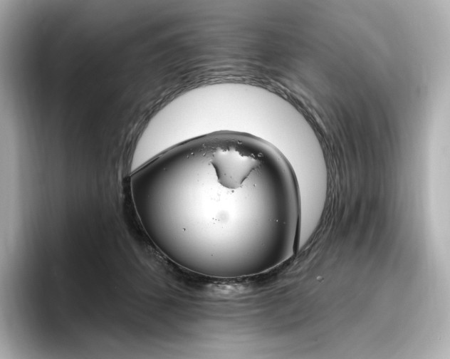 X0000096970512200802221406