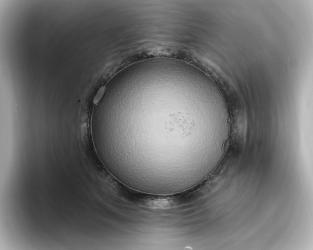 X0000096970513200802221406