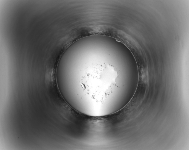 X0000096970514200802221406