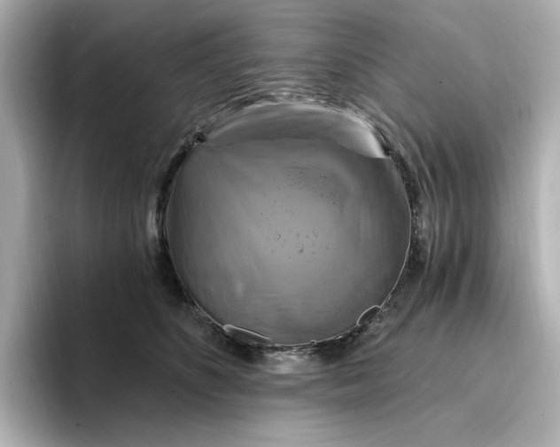 X0000096970516200802221406