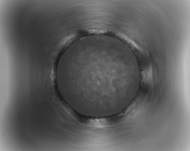 X0000096970517200802221406