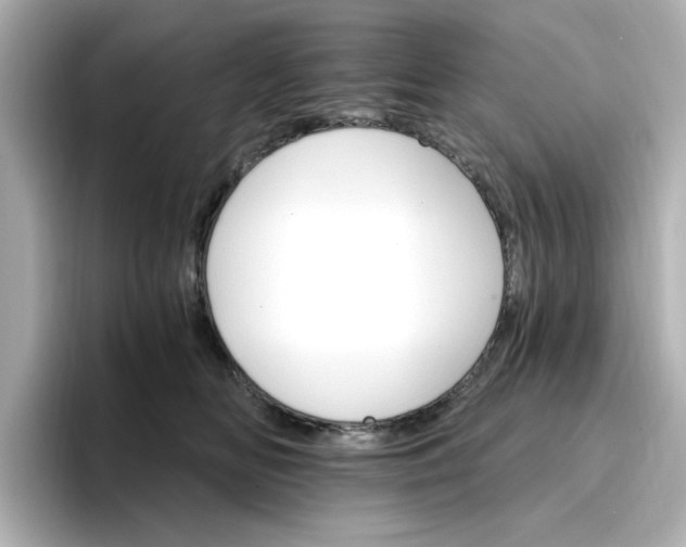 X0000096970518200802221406