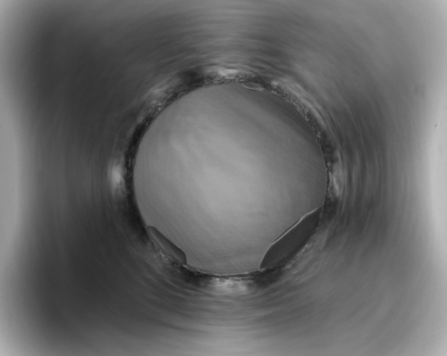 X0000096970520200802221405