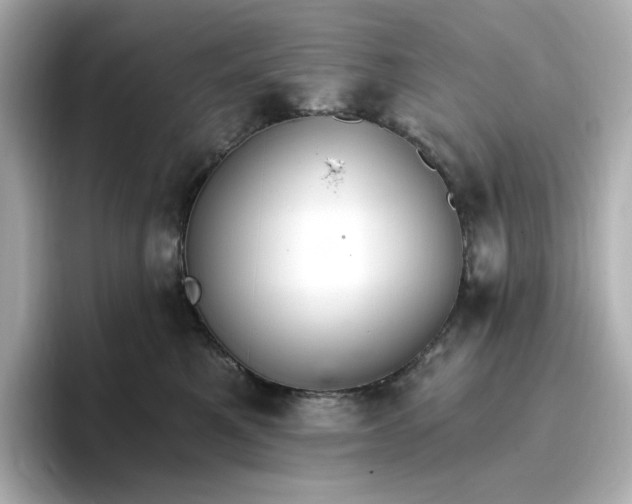 X0000096970521200802221405