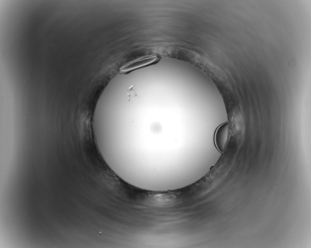 X0000096970522200802221405