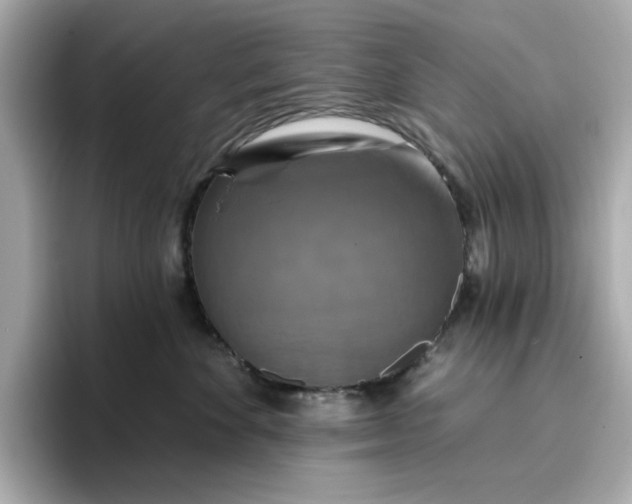 X0000096970524200802221405